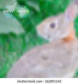 abstract blurred nature background. Web and mobile interface template. Easter and spring background, vector illustration.