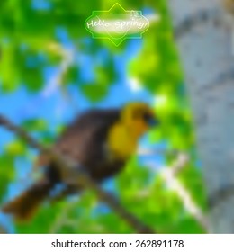 abstract blurred nature background. Web and mobile interface template. Easter and spring background, vector illustration.