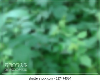 Abstract blurred nature background.Blurred vector backgrounds.