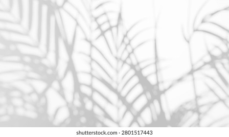 Abstract blurred palm tree branch shadow overlay isolated on white background. Soft tropical frond silhouette with diffused light effect.