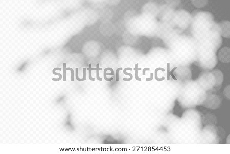Abstract blurred shadow overlay foliage with bokeh effect and sunbeam on transparent background.