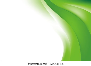 Abstract Blurry Smooth Green White Wave Gradient Background Design  Soft Green White Background and Copy Space for Text Template Vector