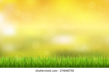 abstract bokeh and lens flare pattern with natural green grass and summer orange background (vector)