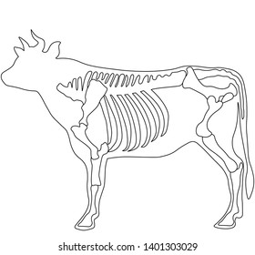 abstract bone illustration of ox. vector outline.