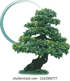 Abstract of Bonsai tree against with circle paint on white background.