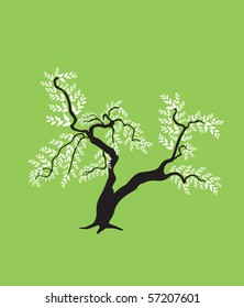 abstract bonsai tree, symbol of nature