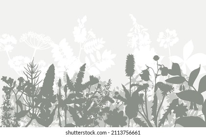 Abstract border with wild herbs and flowers.