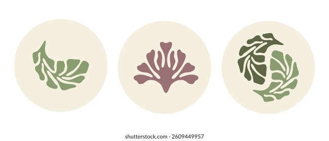 Abstract botanical compositions with flower and leaves on round background. Vector hand drawn art for social media, decals, prints, posters, home decor