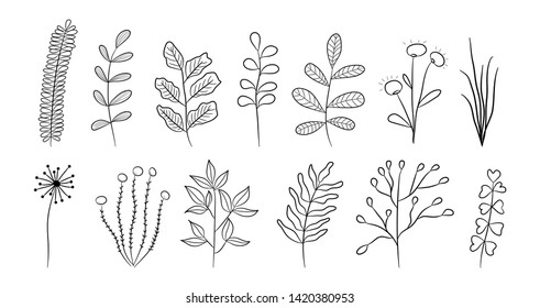 Abstract botanical doodle set. Boho branches leaves flowers vintage elements for wedding birthday greeting cards posters. Vector illustration