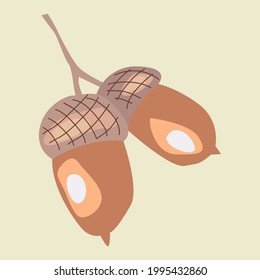 Abstract botanical elements. Acorn, autumn, minimalist style, hand drawn. Poster, room interior, design for textiles, postcard, concept, clipart. Vector illustration