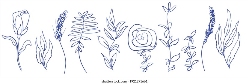 Abstract botanical elements for design. Field grass and flowers. Branches with leaves, roses and peonies. Minimalism. Linear drawing. Vector illustration.