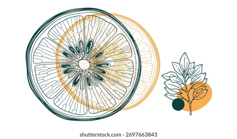 Abstract botanical illustration of citrus slices and leaves with organic shapes.