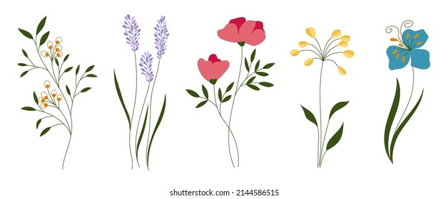 Abstract botanical illustrations. Leaves, flowers, branches. Hand-drawn vector floral elements. Suitable for wedding invitations, greeting cards, quotes, blogs, frames, wallpapers, covers, labels.
