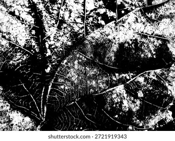 Textura de noir botânico abstrato de folhas secas. Ilustração grunge orgânica em preto e branco de alto contraste, perfeita para planos de fundo artísticos, sobreposições de pôsteres e projetos com temas naturais minimalistas.