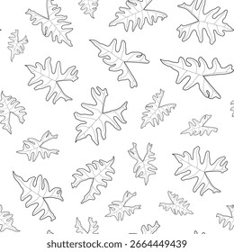 Abstract botanical pattern. Seamless print composed of black line of leaves of alocasia jacklyn on white background. Botanical colorful background.