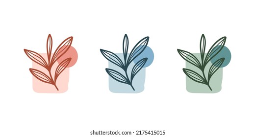 Abstract Botanical Plant. Fluid Organic Shapes. Modern Shape Line Art Wallpaper. Vector Illustration