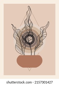 Abstract botanical poster. Contemporary nature background bohemian aesthetic, boho wall decor.