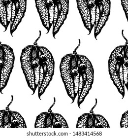 abstract Botanical seamless pattern, seed , hand drawing, vector