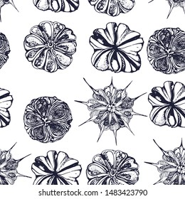 abstract Botanical seamless pattern, seed , hand drawing, vector