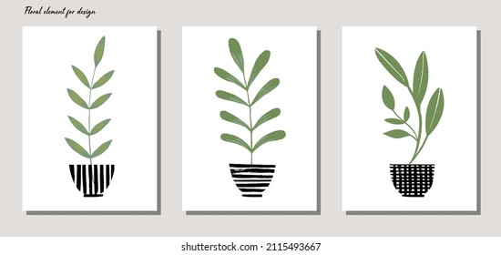 Abstract botanical set with flowers in pots. Vector illustration