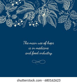 Abstract botanical sketch blue template with text and herbal hop plants used for beer brewing vector illustration