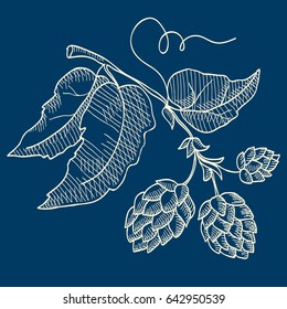 Abstract botanical sketch concept with beer organic herbal hop plant on blue background isolated vector illustration