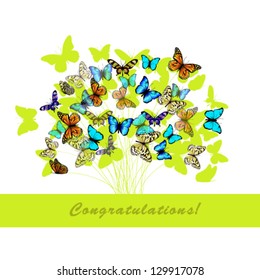 Abstract bouquet of butterflies