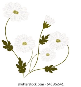 Abstract bouquet of chamomiles, design element.