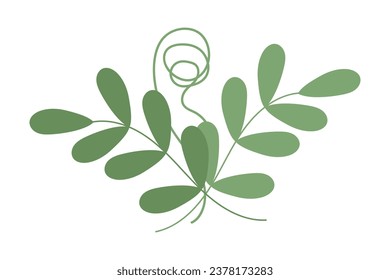 Abstract bouquet of spring twigs with small leaves and climbing plant in trendy shades. Springtime