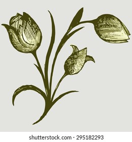 Abstract bouquet of tulips. Vector Image