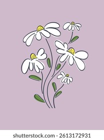 Abstract bouquets of daisy flowers. Floral icons with black outline in pastel colors. Set of white daisies. Vector illustration on lilac background