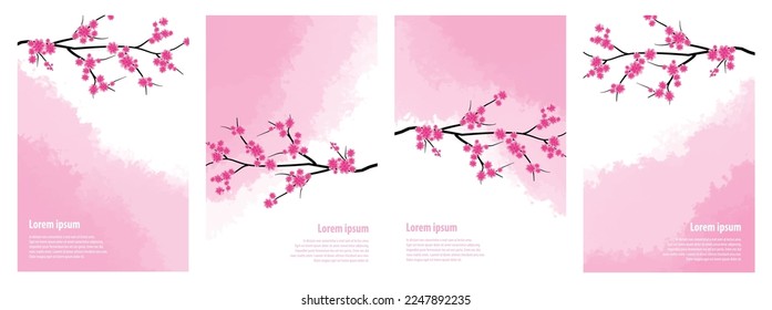 Abstract branch of cherry blossom flower on pink watercolour background cover design. Vector illustration. 