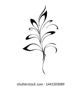 abstract branch with leaves in black lines on white background