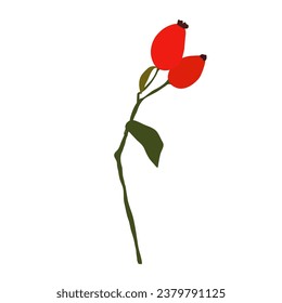 Abstract branch with leaves and red rose hips, element on isolated white background in flat cartoon style. For design, decoration, object.	