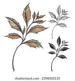 Abstract branch with leaves. Vector illustration