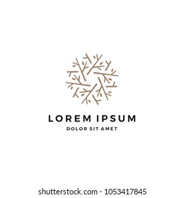 Abstract Branch Logo Design Template