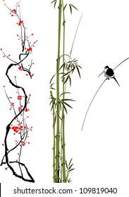 abstract branches of bamboo, cherry tree and bird isolated on the white background.