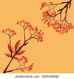 Abstract branches of rowan tree with berries, mountain ash.