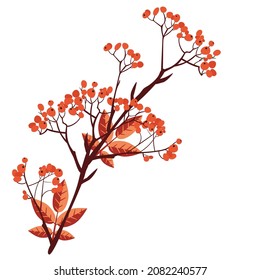 Abstract branches of rowan tree with berries, mountain ash.