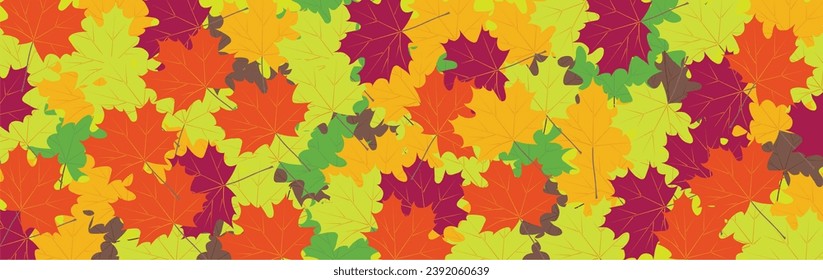 Abstract bright background from autumn maple leaves. Autumn background.