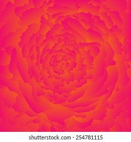 Abstract bright rose