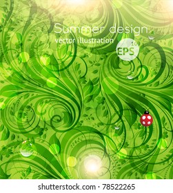 Abstract bright summer or summer vector floral background with flowers, ladybird and sun shine. eps 10.