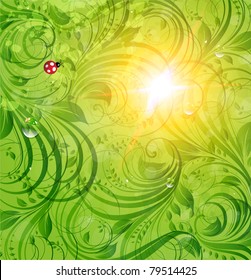 Abstract bright summer vector floral background with flowers, ladybird and sun shine. eps 10.