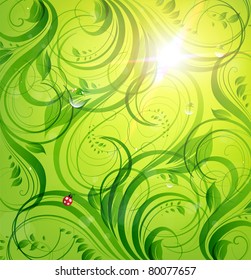 Abstract bright summer or summer vector floral background with flowers, ladybird and sun shine. eps 10.