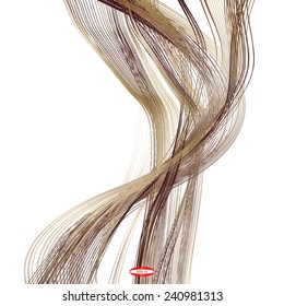abstract bronze line brown wave ginger band on white background vector