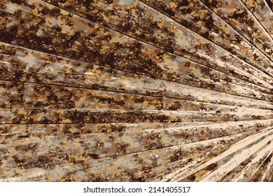 Abstract brown and beige geometric vector pattern. Vintage palm leaf texture pattern.