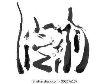 Abstract brush traces.Design elements were created with Chinese ink and calligraphic pen.