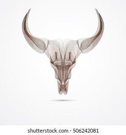 Abstract Bull Skull, Wildlife Icon. Vector Illustration