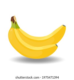 Abstract bunch bananas white background. A couple of bananas close-up isolated on a white background.Organic food.Healthy diet.