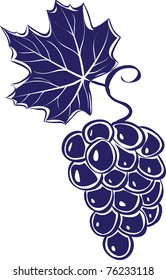 Abstract bunch of grapes. Colorful vector illustration
